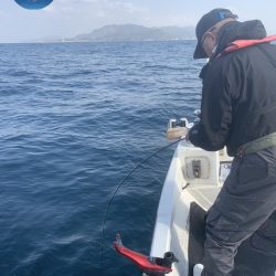 幕島丸 釣果