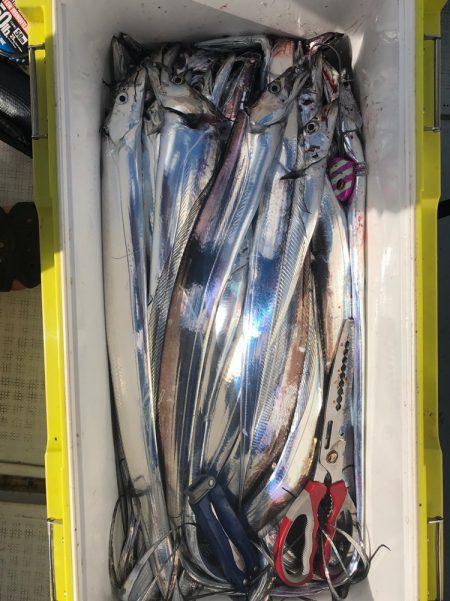 フィッシング キッタカ 釣果