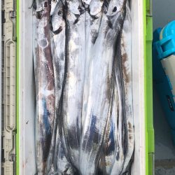 フィッシング　キッタカ 釣果