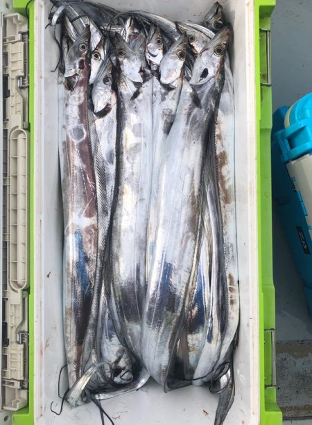 フィッシング　キッタカ 釣果