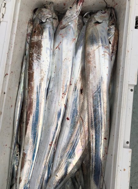 フィッシング　キッタカ 釣果