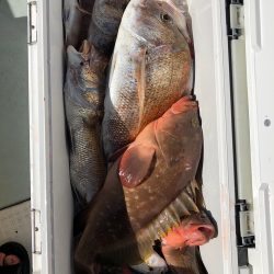 フィッシング キッタカ 釣果