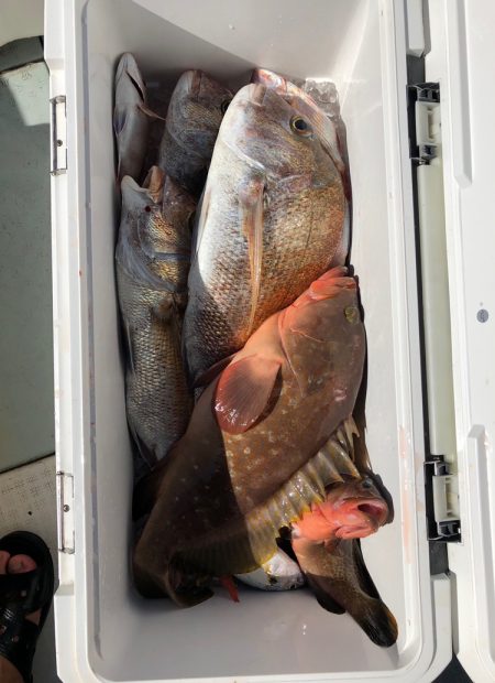 フィッシング キッタカ 釣果