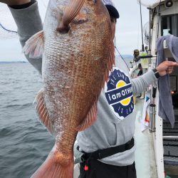 フィッシング キッタカ 釣果