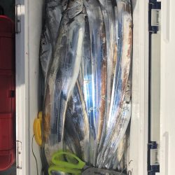 フィッシング キッタカ 釣果