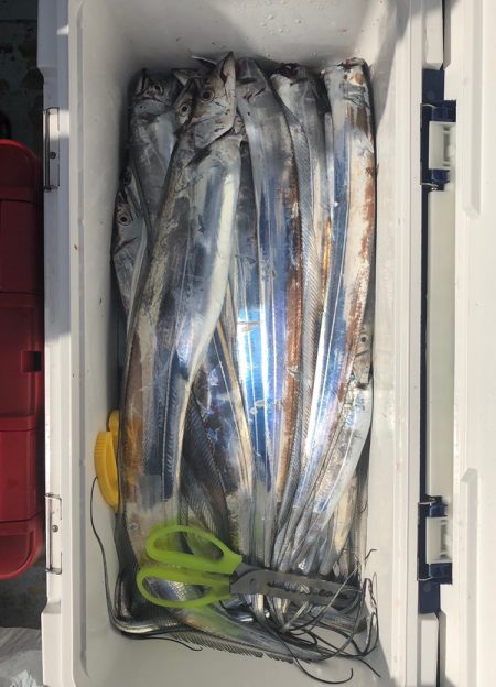 フィッシング キッタカ 釣果