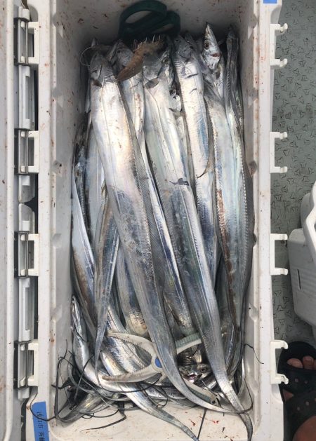 フィッシング　キッタカ 釣果