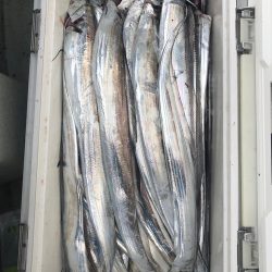 フィッシング　キッタカ 釣果