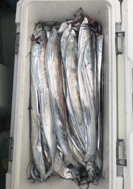 フィッシング　キッタカ 釣果