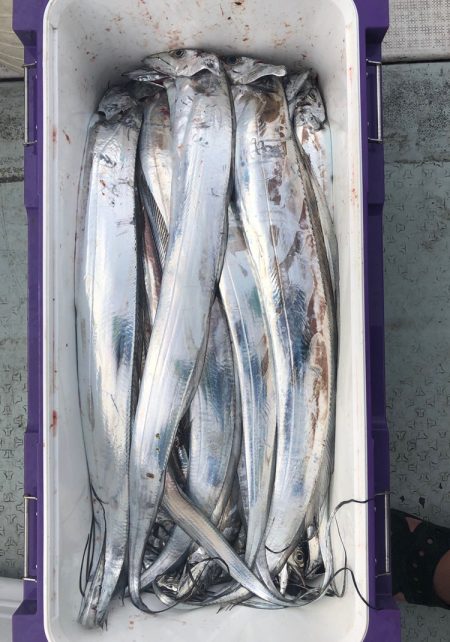 フィッシング　キッタカ 釣果