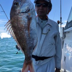 フィッシング キッタカ 釣果