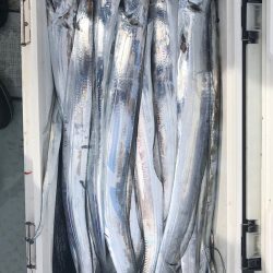 フィッシング　キッタカ 釣果