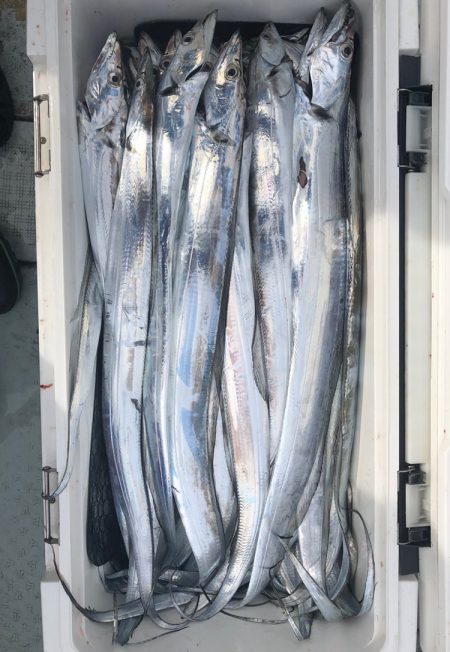 フィッシング　キッタカ 釣果