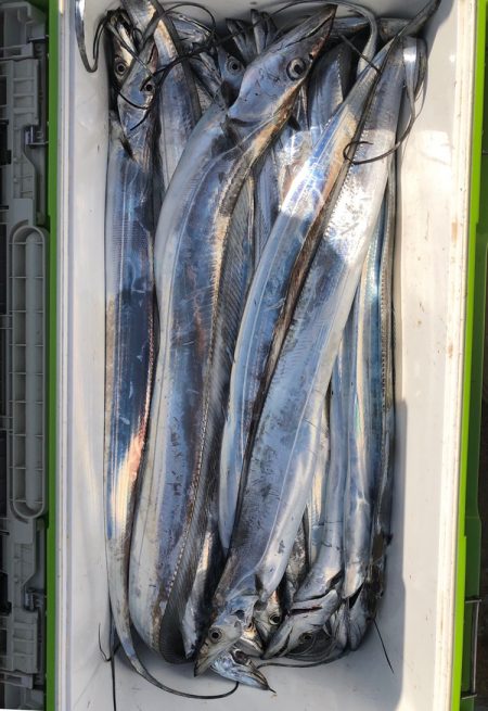 フィッシング キッタカ 釣果