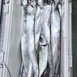 フィッシング　キッタカ 釣果