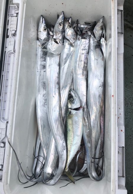 フィッシング　キッタカ 釣果