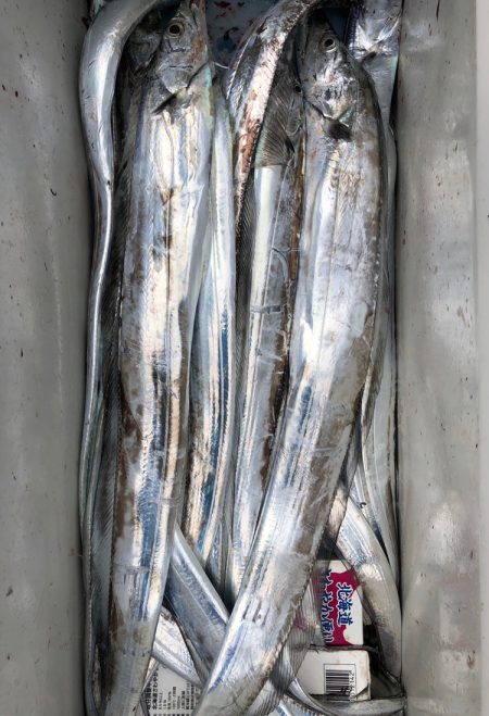 フィッシング キッタカ 釣果