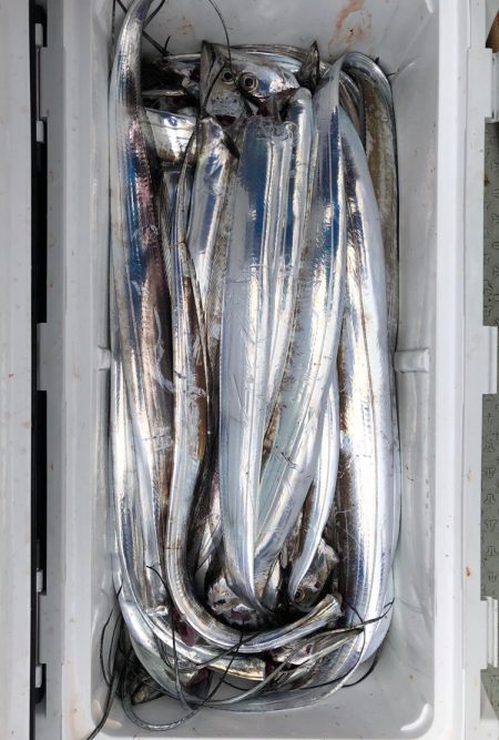 フィッシング キッタカ 釣果