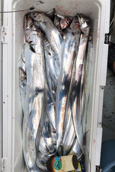 フィッシング キッタカ 釣果