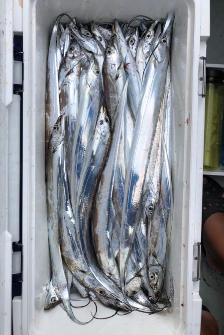 フィッシング キッタカ 釣果