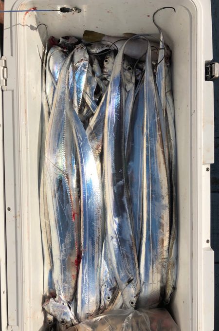 フィッシング キッタカ 釣果