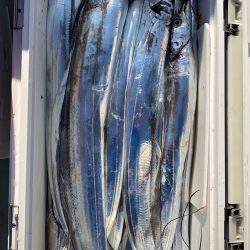 フィッシング キッタカ 釣果