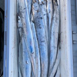 フィッシング キッタカ 釣果