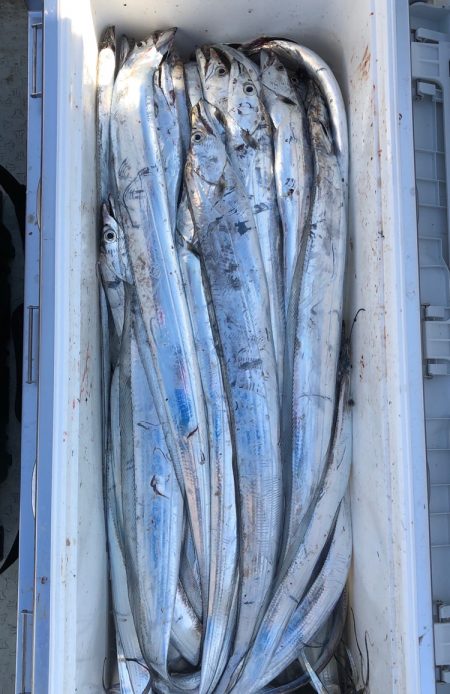 フィッシング キッタカ 釣果