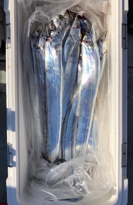 フィッシング キッタカ 釣果