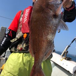 フィッシング キッタカ 釣果