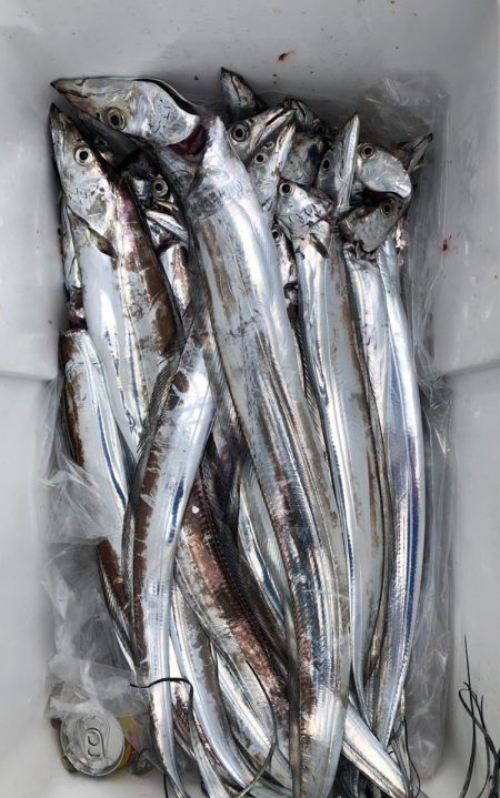 フィッシング キッタカ 釣果