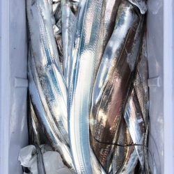 フィッシング キッタカ 釣果