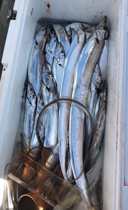 フィッシング キッタカ 釣果