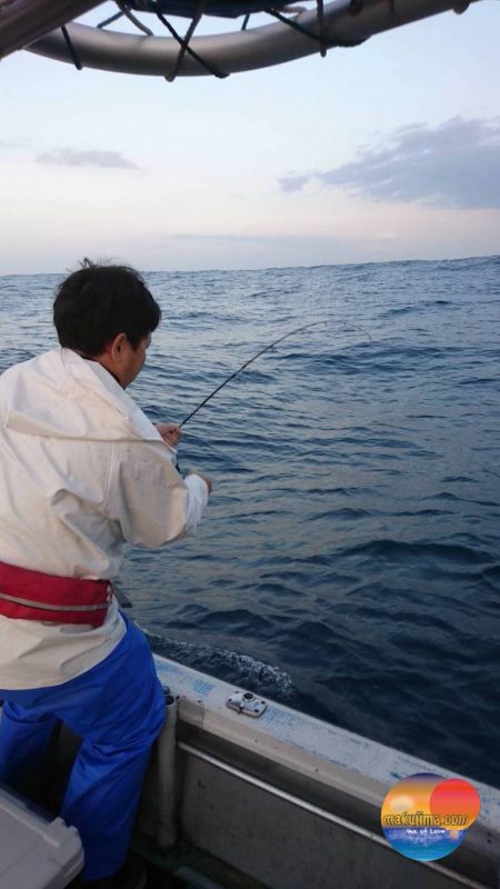 幕島丸 釣果