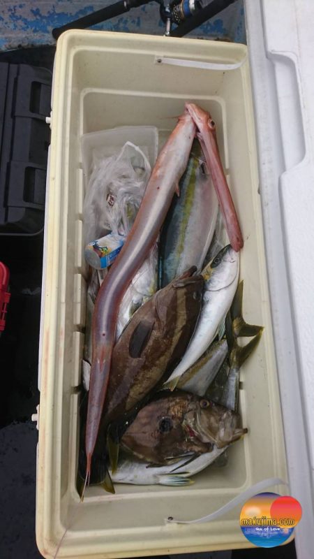 幕島丸 釣果