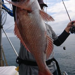 遊漁船 家入 釣果