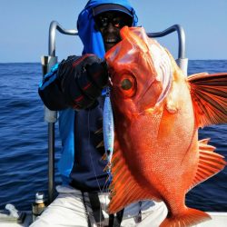 光生丸 釣果