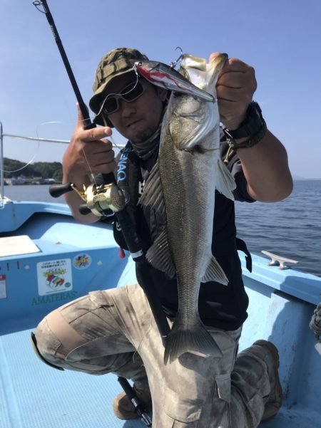 アマテラス 釣果