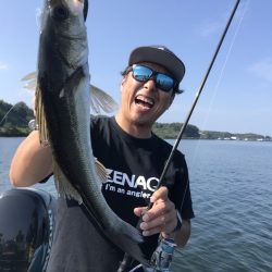 アマテラス 釣果