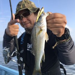 アマテラス 釣果