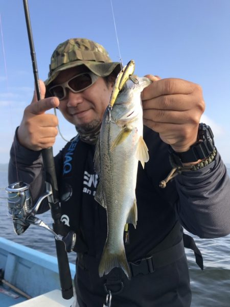 アマテラス 釣果