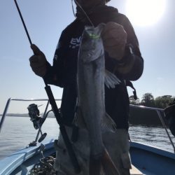 アマテラス 釣果