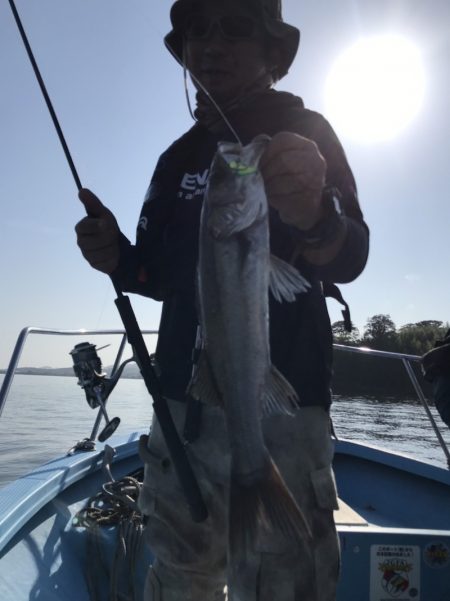 アマテラス 釣果