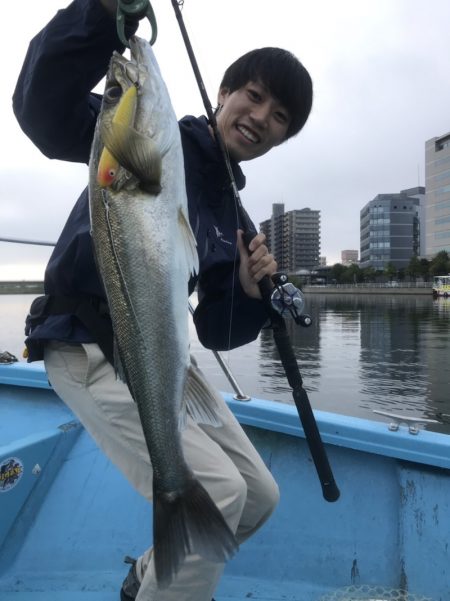 アマテラス 釣果