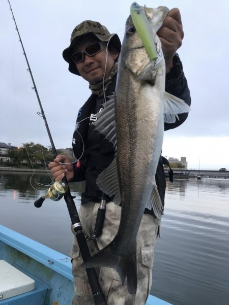 アマテラス 釣果