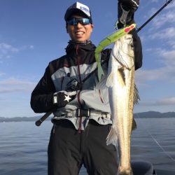 アマテラス 釣果