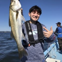 アマテラス 釣果