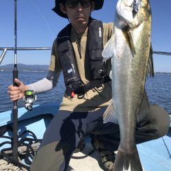 アマテラス 釣果