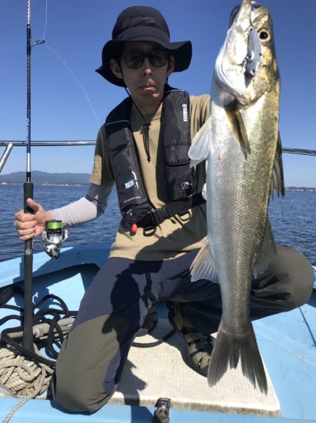 アマテラス 釣果