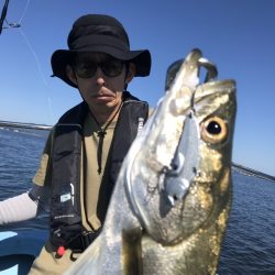 アマテラス 釣果